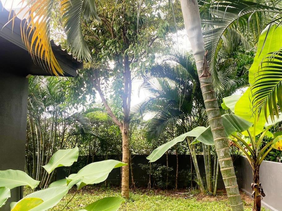 Anjali Refuge Secret A Koh-samui Villa *